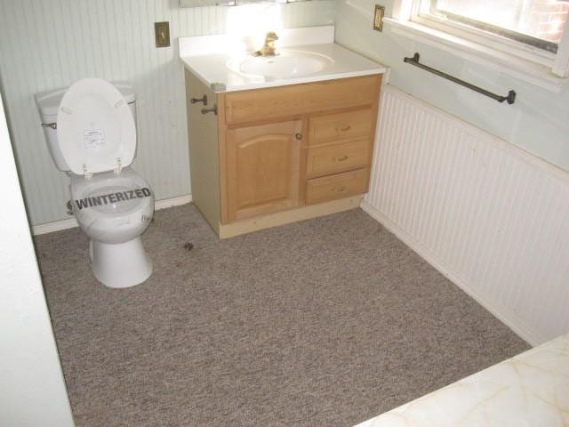 bathroom with toilet and vanity