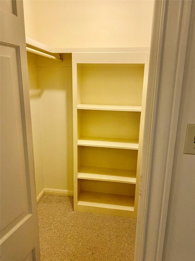 walk in closet with carpet