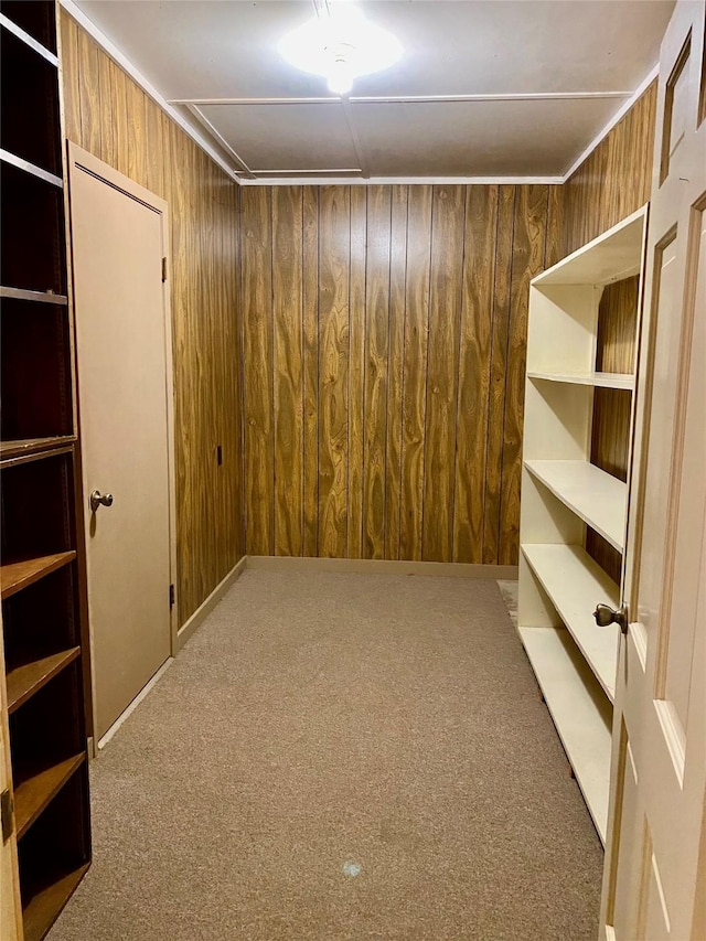 basement featuring wood walls and carpet floors