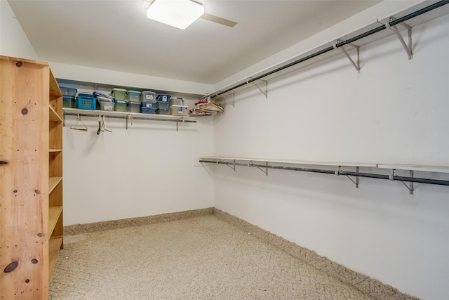 spacious closet with carpet flooring