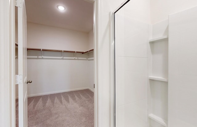 spacious closet featuring light carpet