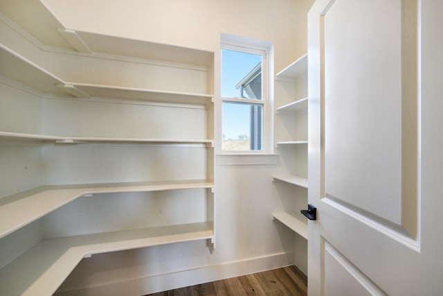 spacious closet featuring dark hardwood / wood-style floors