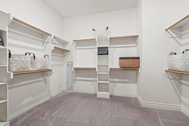 spacious closet featuring carpet flooring