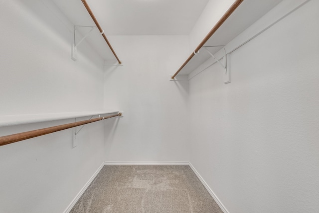 walk in closet with carpet flooring