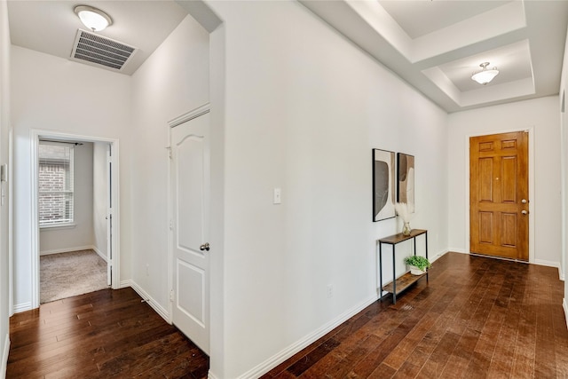 foyer featuring a tray ceiling and dark hardwood / wood-style floors