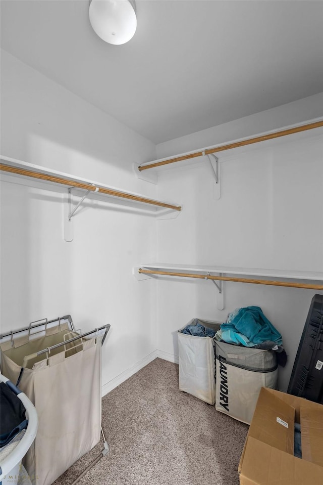 spacious closet with carpet