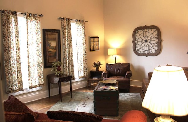 sitting room featuring a wealth of natural light and wood-type flooring