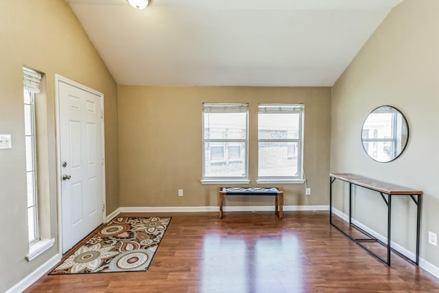 foyer entrance with vaulted ceiling, a wealth of natural light, and dark hardwood / wood-style floors