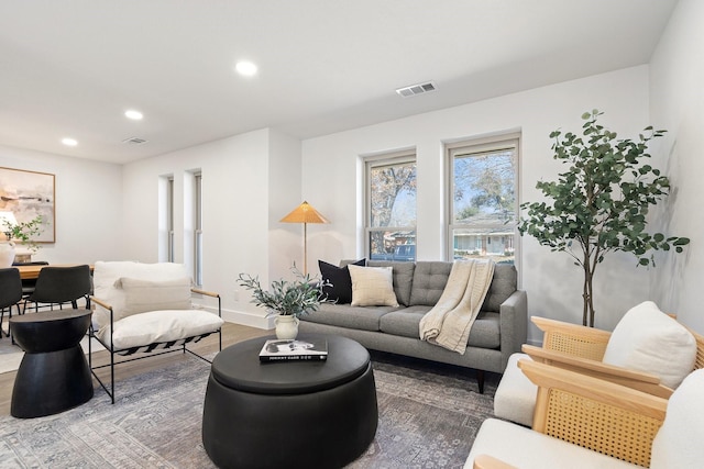 living room featuring hardwood / wood-style floors