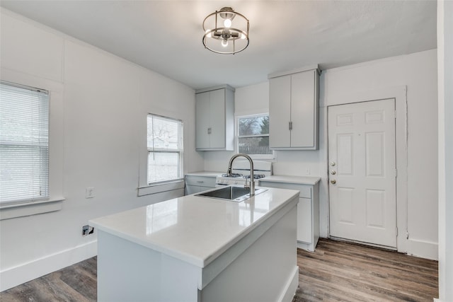 kitchen with sink, a center island with sink, and dark hardwood / wood-style flooring