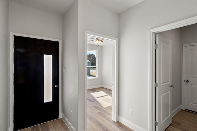 foyer entrance featuring wood-type flooring