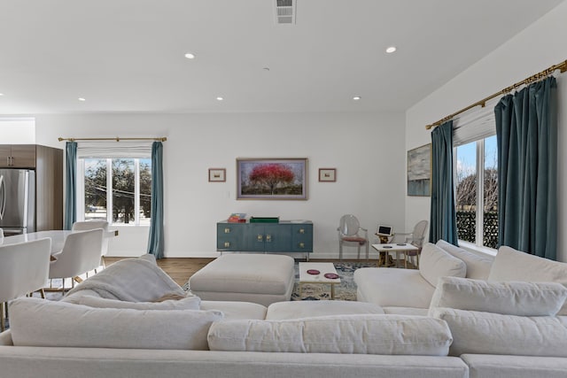 living room featuring hardwood / wood-style flooring and a wealth of natural light