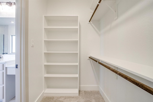 spacious closet with light carpet