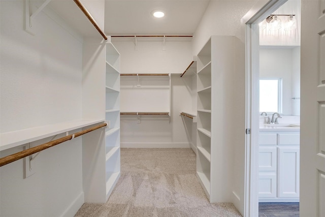 walk in closet with sink and light carpet