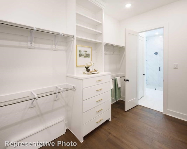 spacious closet with dark hardwood / wood-style flooring