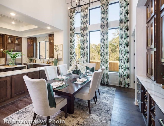 dining space featuring a tray ceiling, dark wood-type flooring, a notable chandelier, and a towering ceiling