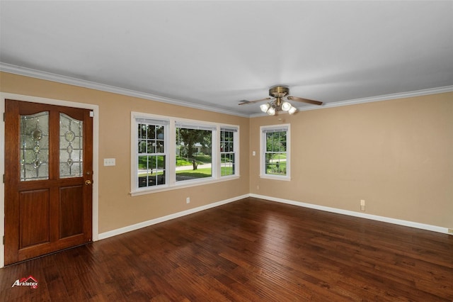 entryway featuring ornamental molding, ceiling fan, and dark hardwood / wood-style flooring