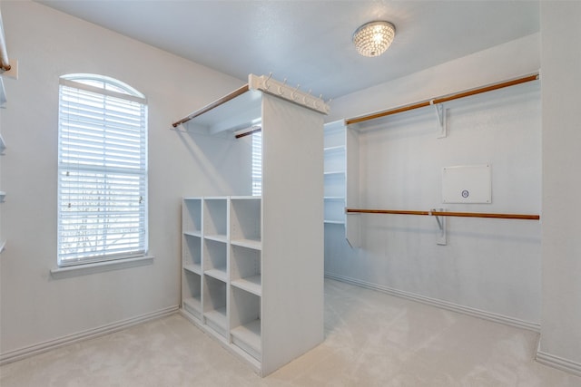 spacious closet featuring light colored carpet