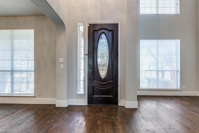 foyer featuring plenty of natural light and dark hardwood / wood-style flooring