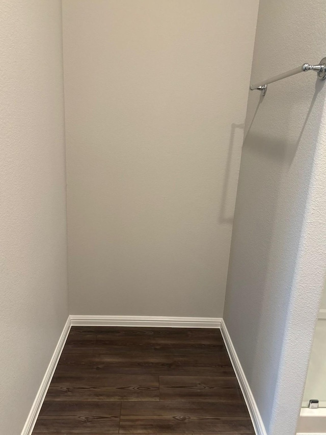 spacious closet featuring dark hardwood / wood-style flooring