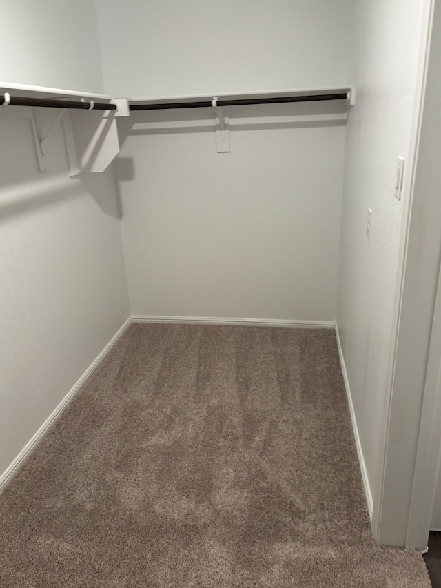 spacious closet with dark colored carpet