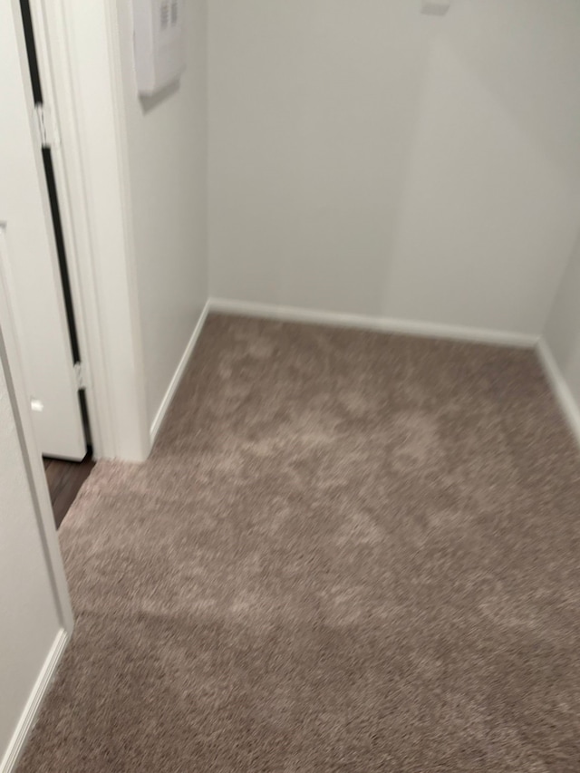 interior space with carpet flooring