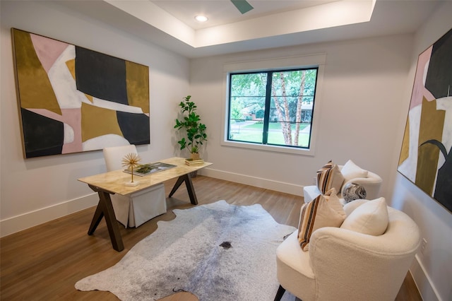 office area with a raised ceiling and wood-type flooring