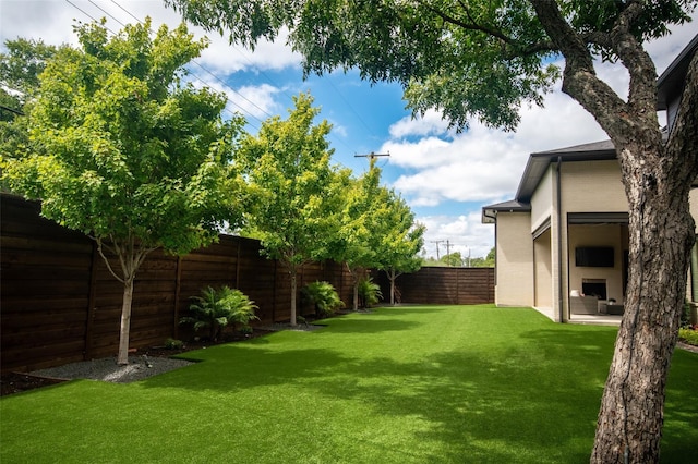 view of yard featuring a patio area