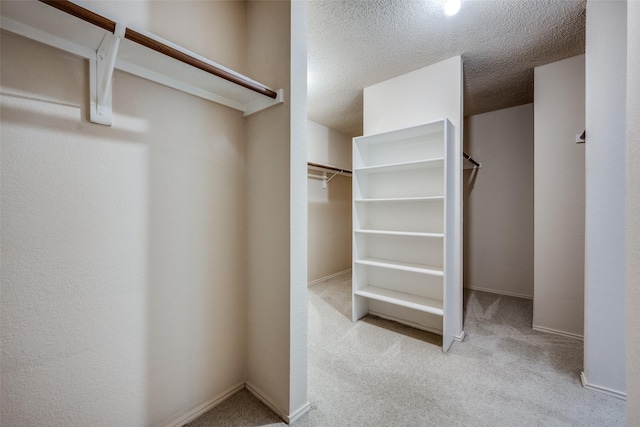 spacious closet with light colored carpet