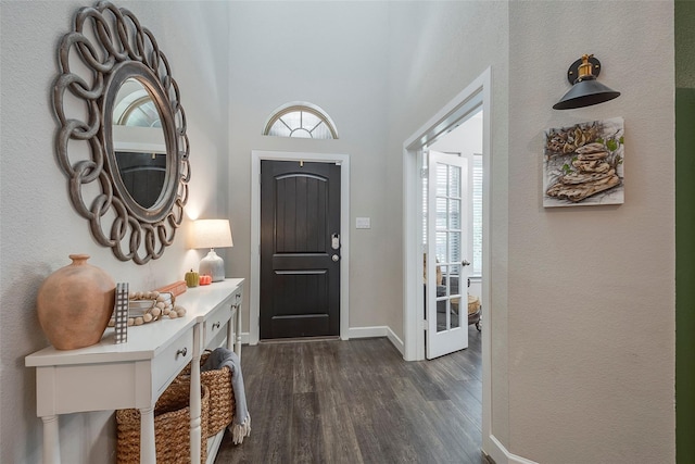 foyer entrance featuring dark wood-type flooring