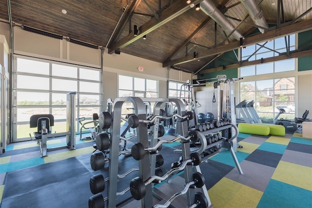 workout area with high vaulted ceiling and a healthy amount of sunlight