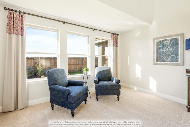 sitting room featuring light carpet and a healthy amount of sunlight