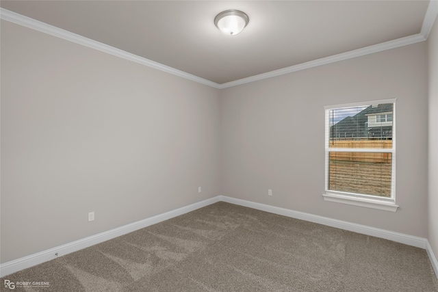 empty room featuring crown molding and carpet flooring