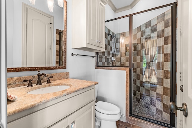 bathroom featuring toilet, walk in shower, and vanity