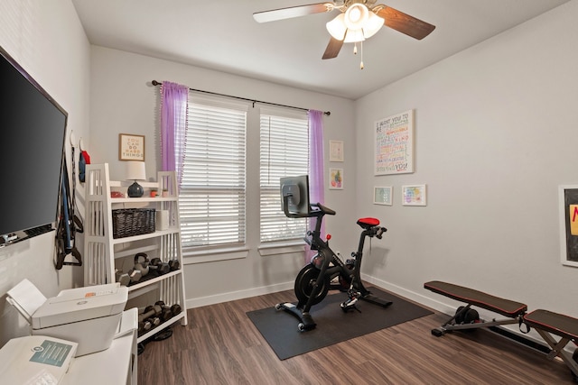 exercise room featuring dark hardwood / wood-style flooring and ceiling fan