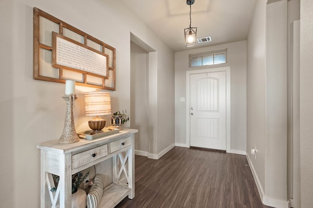 entrance foyer with dark wood-type flooring