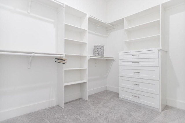 walk in closet with light colored carpet