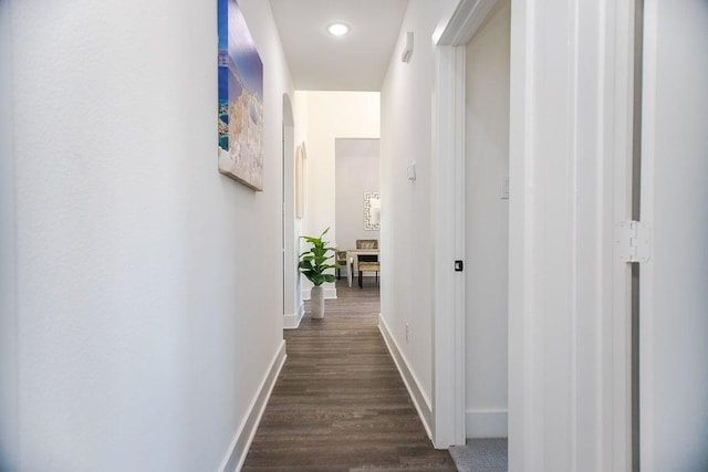 hall featuring dark wood-type flooring