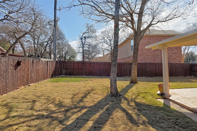 view of yard featuring a patio area