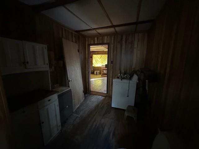 kitchen featuring wood walls