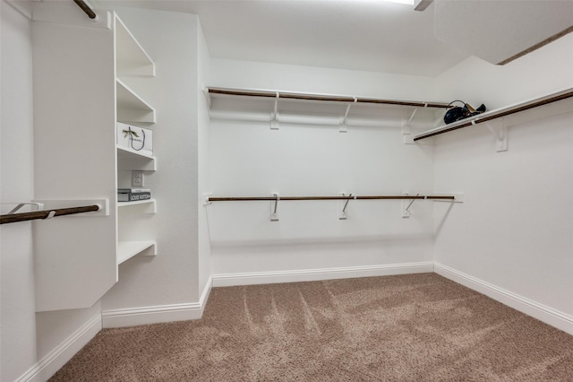 spacious closet with carpet flooring