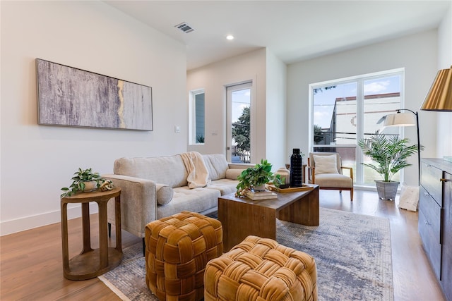 living room featuring light wood-type flooring