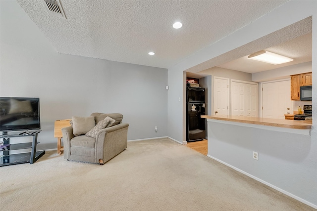 living room with light carpet and a textured ceiling