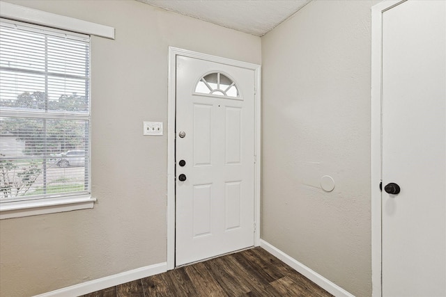 entrance foyer with dark hardwood / wood-style flooring and a healthy amount of sunlight