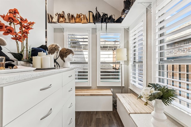 spacious closet with dark wood-type flooring