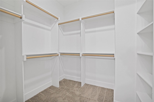 spacious closet with carpet floors