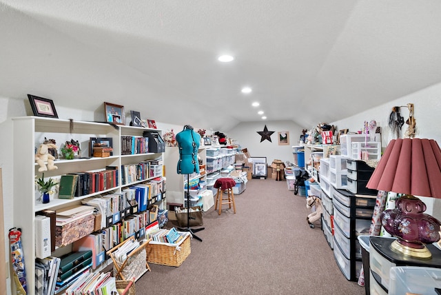 miscellaneous room featuring carpet floors, a textured ceiling, and lofted ceiling