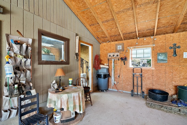 miscellaneous room with vaulted ceiling and wood walls