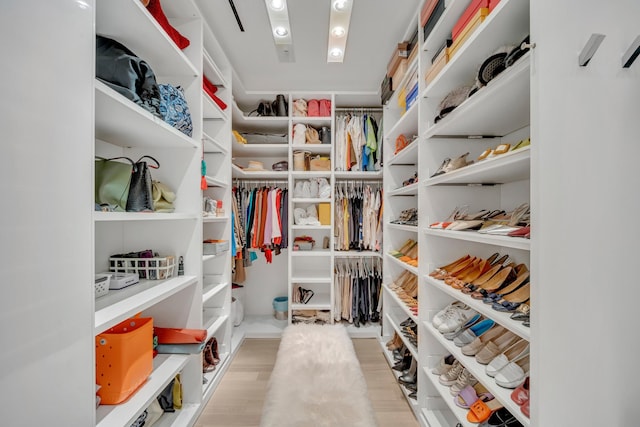 walk in closet with light hardwood / wood-style floors