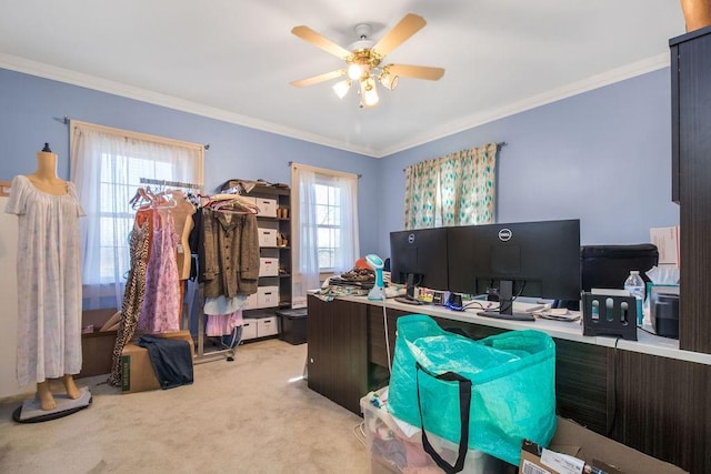 carpeted office with ceiling fan, a healthy amount of sunlight, and crown molding